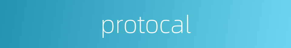 protocal的同义词