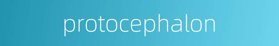 protocephalon的同义词