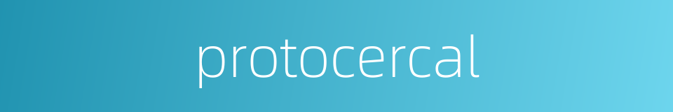 protocercal的同义词