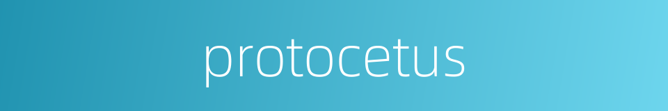 protocetus的同义词