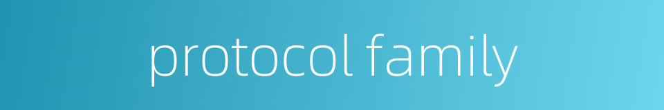 protocol family的同义词