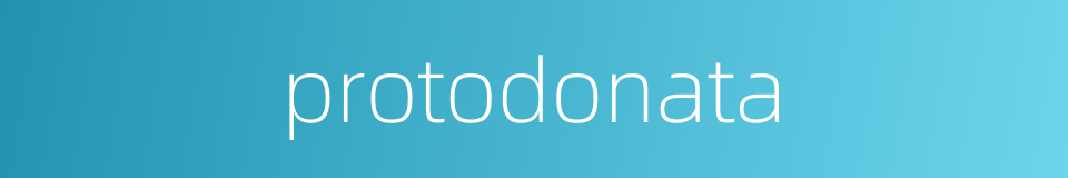 protodonata的同义词