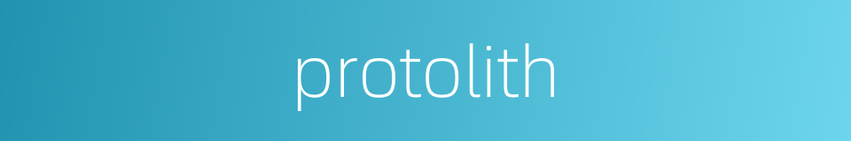 protolith的同义词