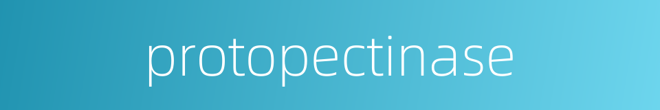 protopectinase的同义词
