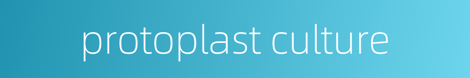 protoplast culture的同义词