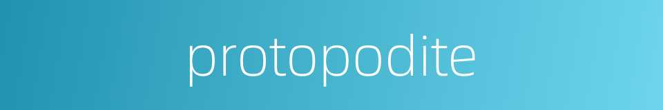 protopodite的同义词