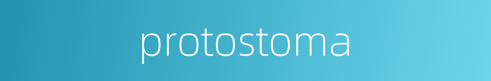 protostoma的同义词