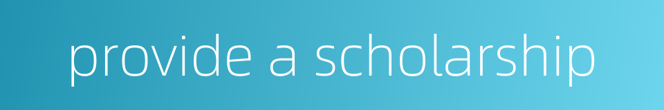 provide a scholarship的同义词