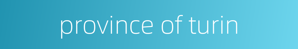 province of turin的同义词