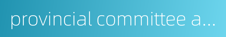 provincial committee and government的同义词