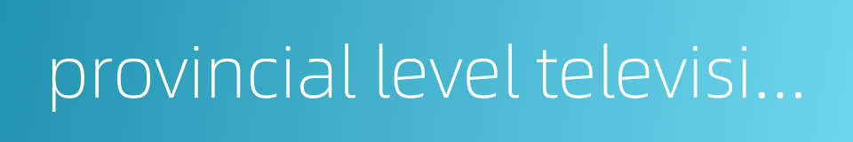 provincial level television station的同义词