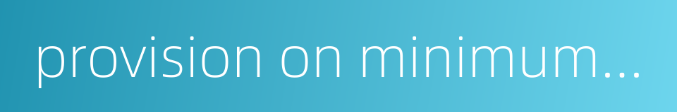 provision on minimum wage的同义词