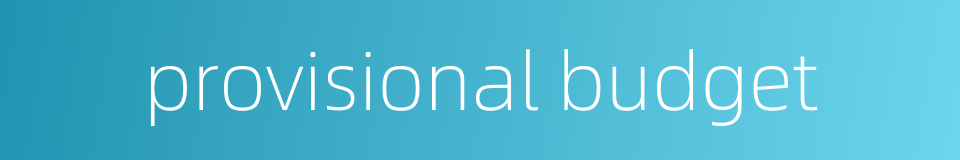 provisional budget的同义词