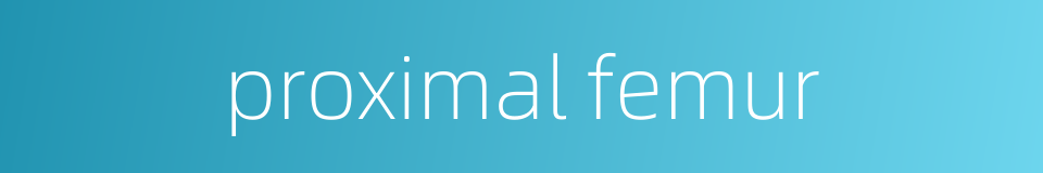 proximal femur的同义词