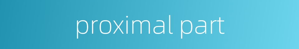 proximal part的同义词