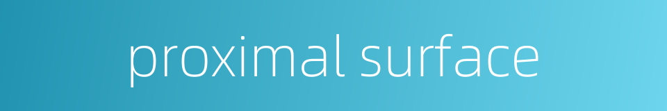 proximal surface的同义词