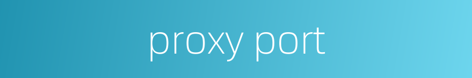 proxy port的同义词