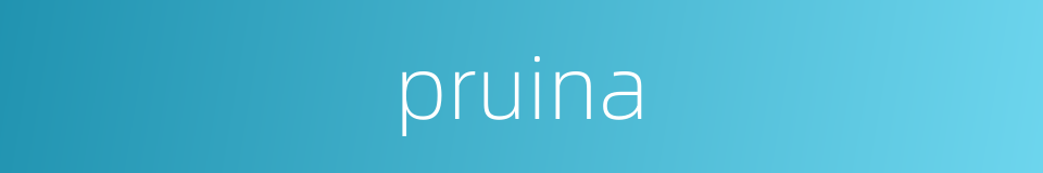 pruina的同义词