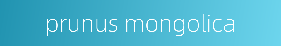 prunus mongolica的同义词