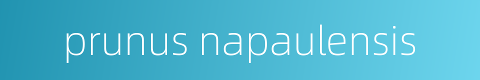 prunus napaulensis的同义词