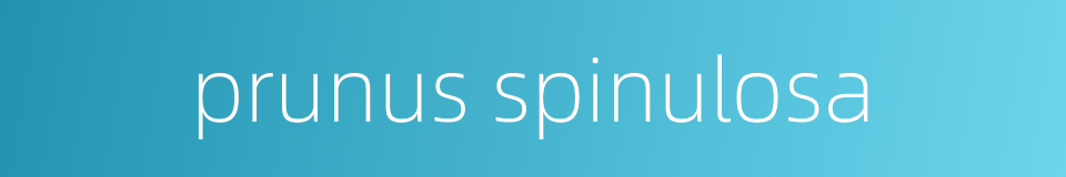 prunus spinulosa的同义词