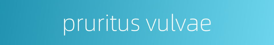 pruritus vulvae的同义词