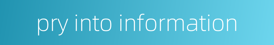 pry into information的同义词