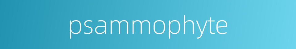 psammophyte的同义词