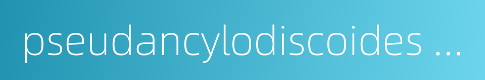 pseudancylodiscoides rimsky-korakowi的同义词