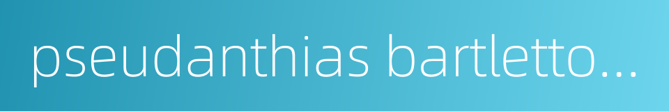 pseudanthias bartlettorum的同义词