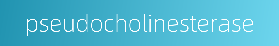 pseudocholinesterase的同义词