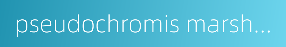 pseudochromis marshallensis的同义词