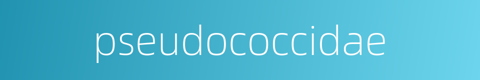 pseudococcidae的同义词