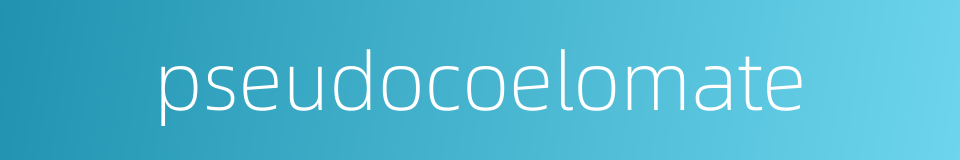 pseudocoelomate的同义词