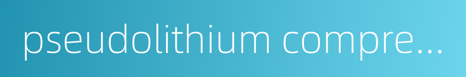 pseudolithium compressum的同义词