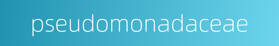 pseudomonadaceae的同义词