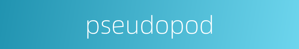 pseudopod的同义词