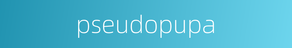 pseudopupa的同义词