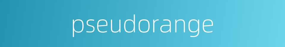 pseudorange的同义词