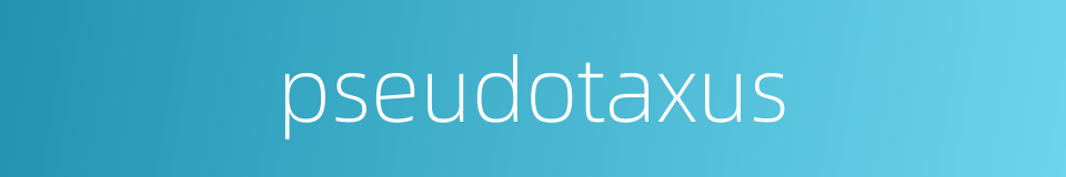 pseudotaxus的同义词