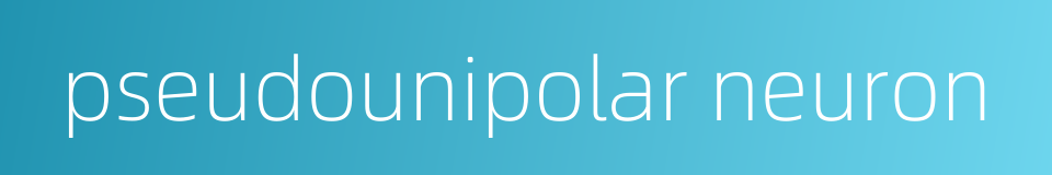 pseudounipolar neuron的同义词