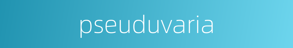 pseuduvaria的同义词