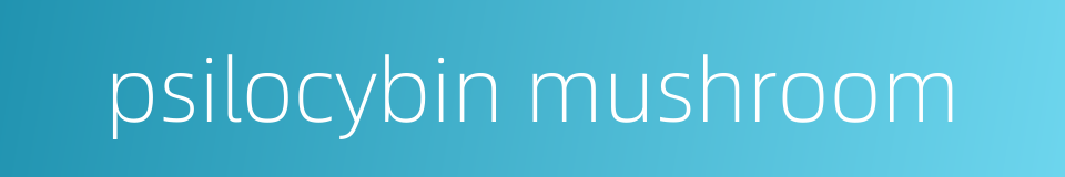 psilocybin mushroom的同义词