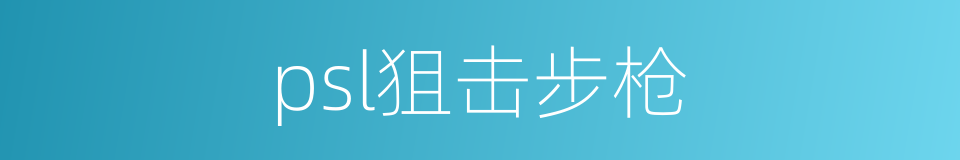 psl狙击步枪的同义词