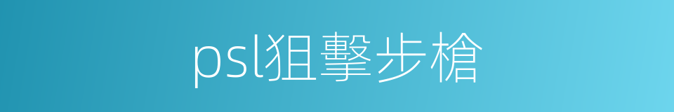 psl狙擊步槍的同義詞