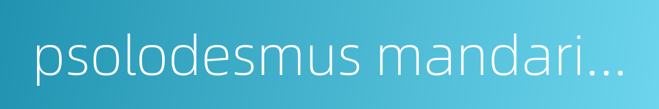 psolodesmus mandarinus的同义词