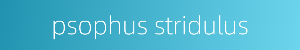 psophus stridulus的同义词