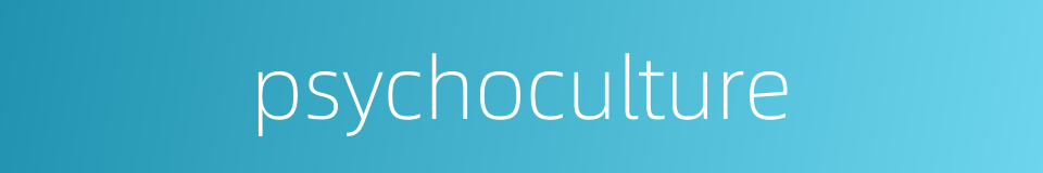 psychoculture的同义词