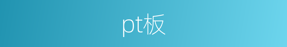 pt板的同义词