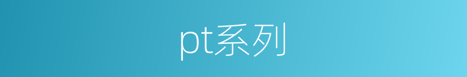 pt系列的同义词